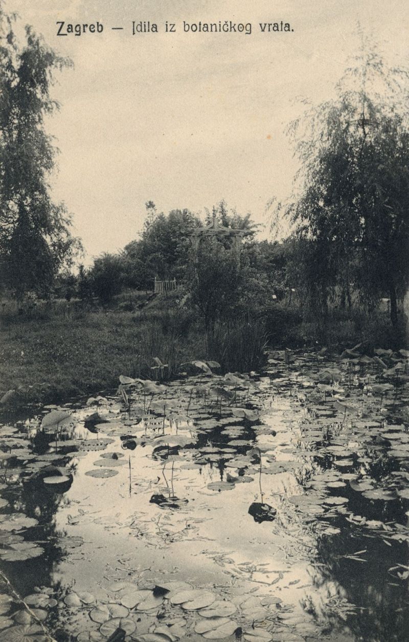 Botanički vrt, Mihanovićeva ulica, oko 1905.-1910. godine